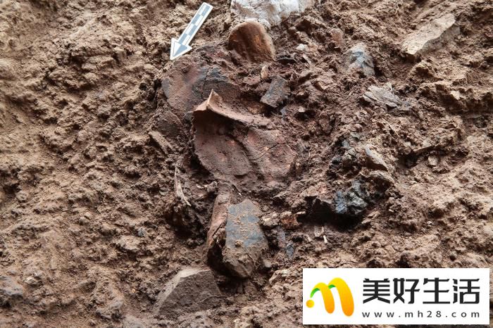 贵州普定穿洞遗址人类活动史推至5.5万年前(图5)