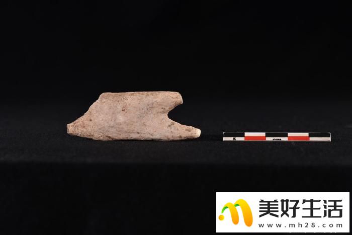贵州普定穿洞遗址人类活动史推至5.5万年前(图4)
