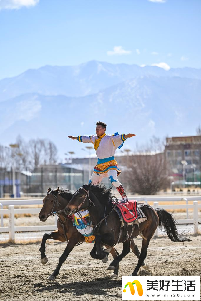 西藏拉萨：马背上的新年祝福(图2)