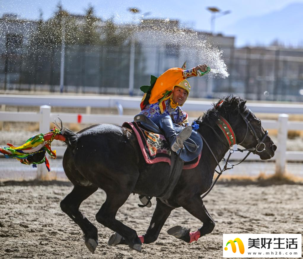 西藏拉萨：马背上的新年祝福(图4)