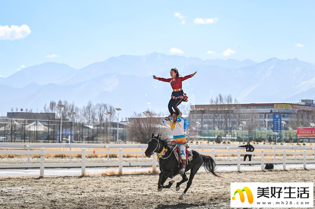 西藏拉萨：马背上的新年祝福(图5)