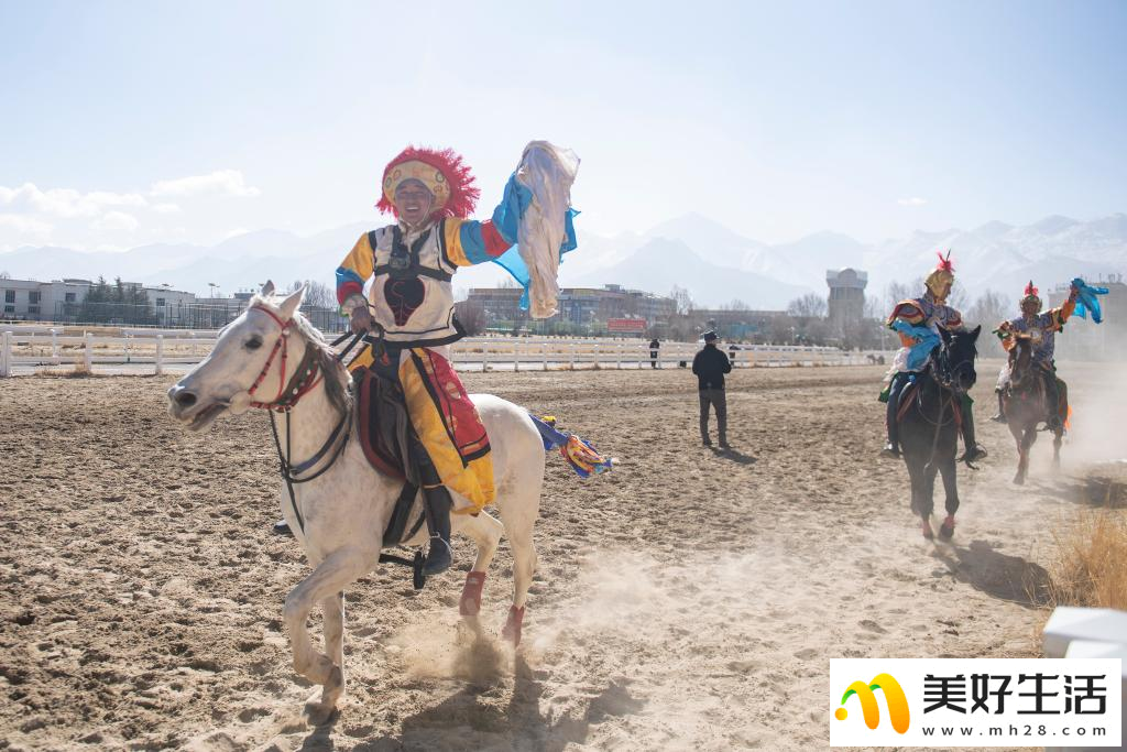 西藏拉萨：马背上的新年祝福(图14)
