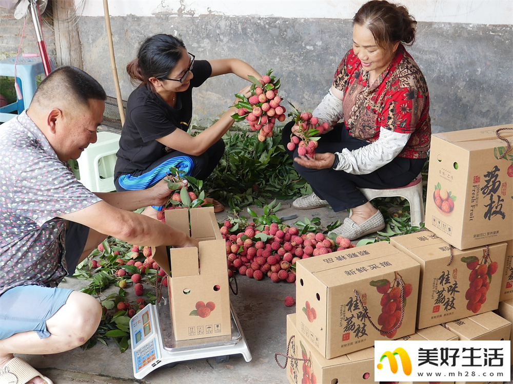 夏日丰收季 农民笑开颜(图1)