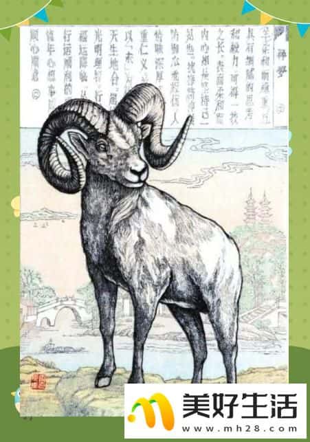 025年十二生肖年龄对照与文化内涵(图8) 2025年十二生肖年龄对照与文化内涵(图8)