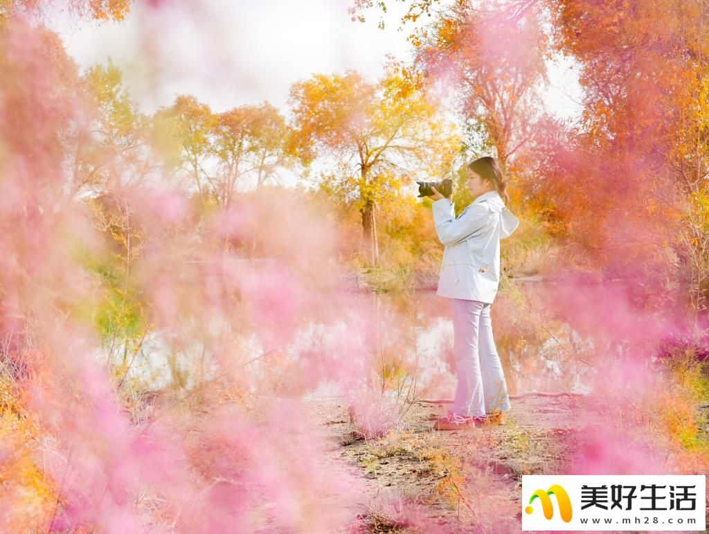 沙漠胡杨入画来(图2) 沙漠胡杨入画来(图2)