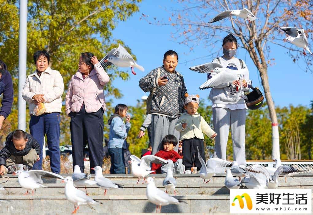 秋日乌海 人鸥同乐(图12)