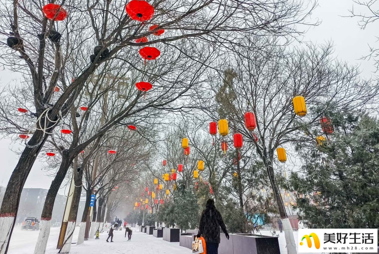 雪落青城 美景如画(图5)