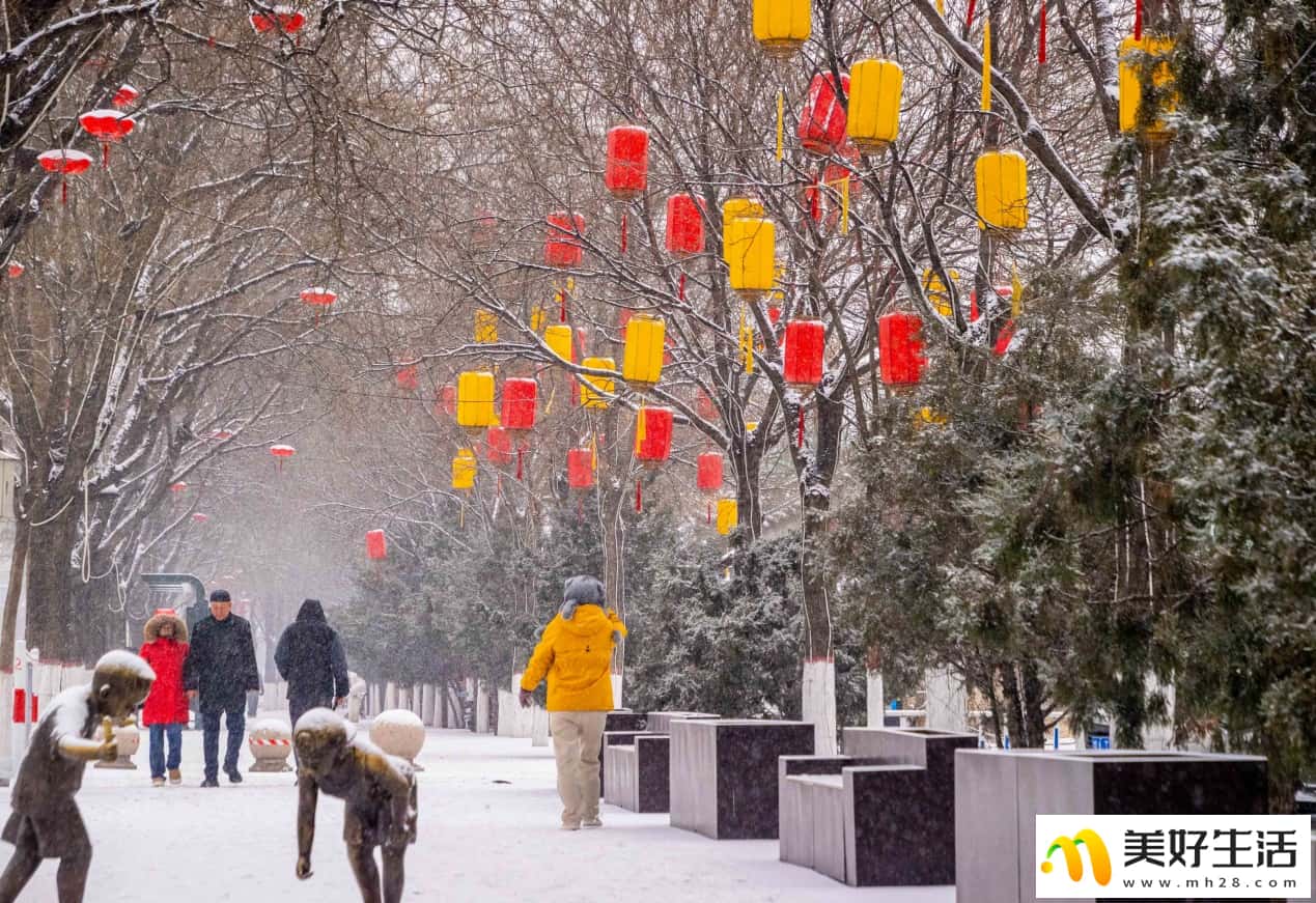 雪落青城 美景如画(图9)