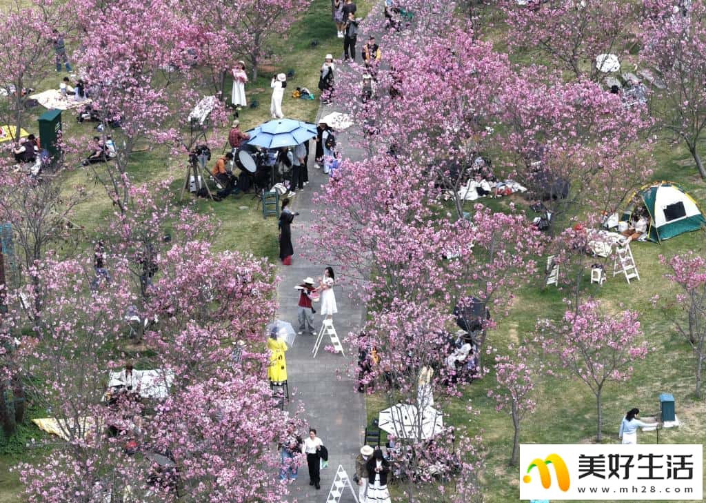 春光明媚赏花时(图1)