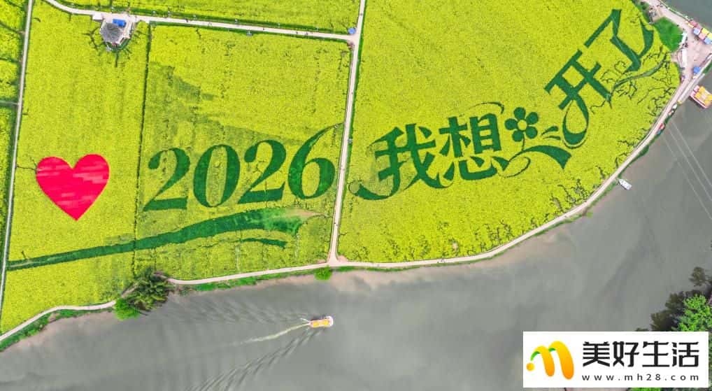 重庆潼南:油菜花开迎客来(图3) 重庆潼南:油菜花开迎客来(图3)