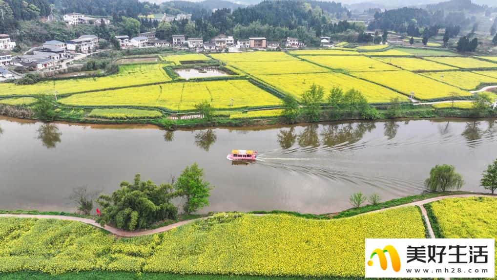 重庆潼南:油菜花开迎客来(图5) 重庆潼南:油菜花开迎客来(图5)